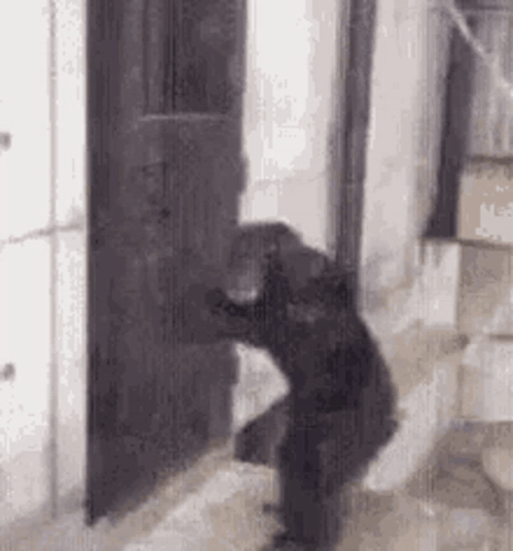 Monkey Banging On Cage GIF