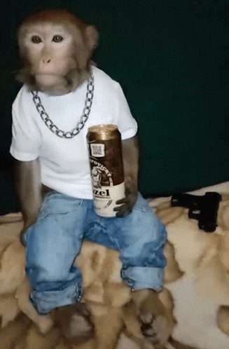 Monkey Chill Monkey GIF
