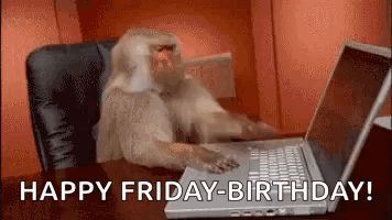 Monkey Computer Not Working GIF
