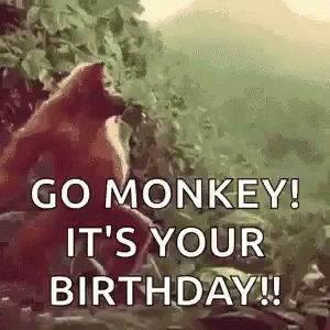 Monkey Dance GIF