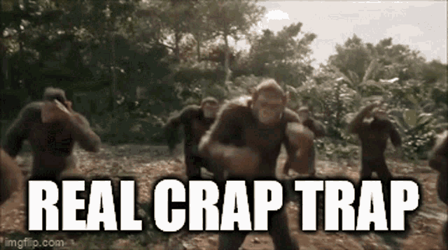 Monkey Dance GIF