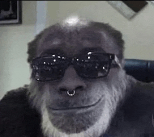 Monkey Girl Meme