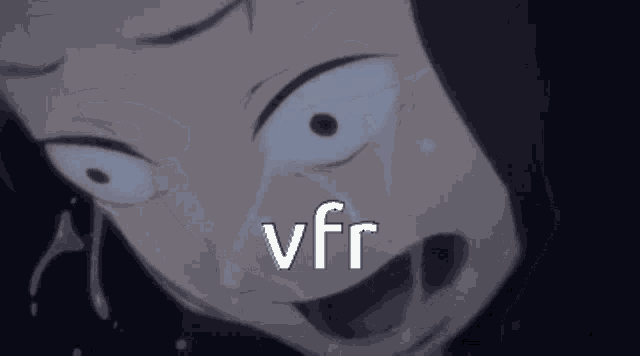 Monkey Moments GIF