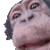 Monkey Monkey Lick Sticker
