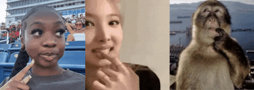 Monkey Nayeon GIF