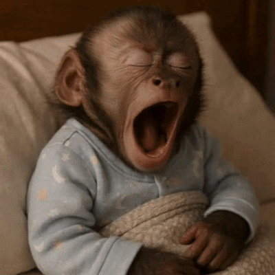 Monkey Yawn GIF