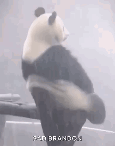 Mood Sad GIF