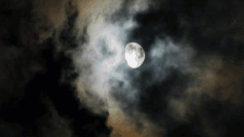 Moon Momo'S Sound Diary GIF