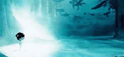 Morebears GIF