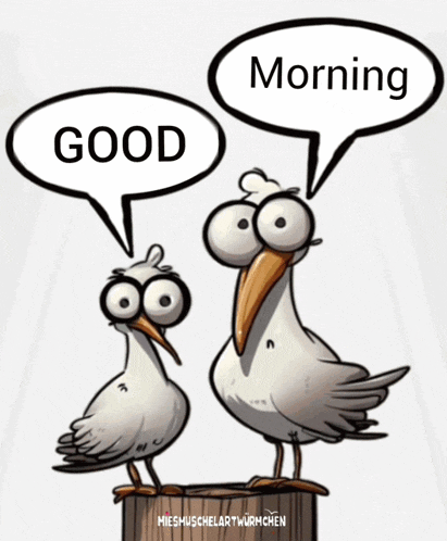 Morgen Good Morning Gif GIF