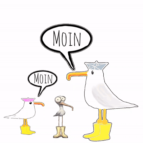 Morgen Moinsen GIF