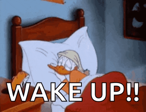 Morning Good Morning GIF