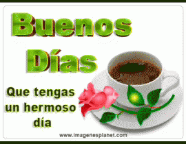 Morning Good Morning GIF