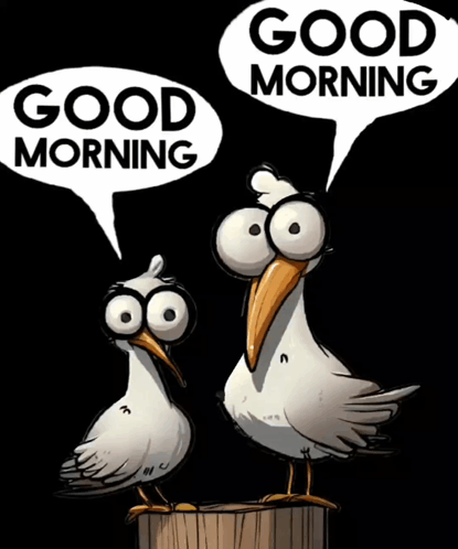 Morning Good Morning GIF