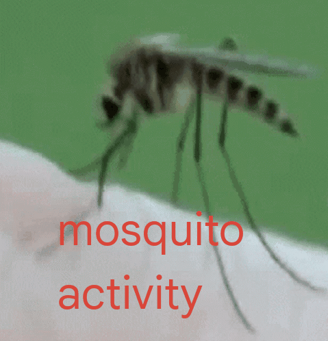 Mosquito Activity GIF