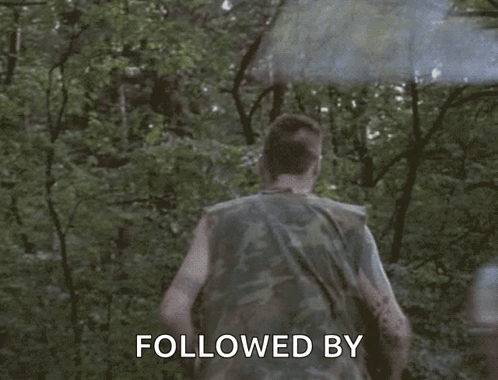 Mosquito Killing GIF
