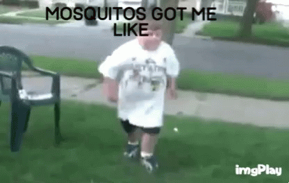 Mosquito GIF