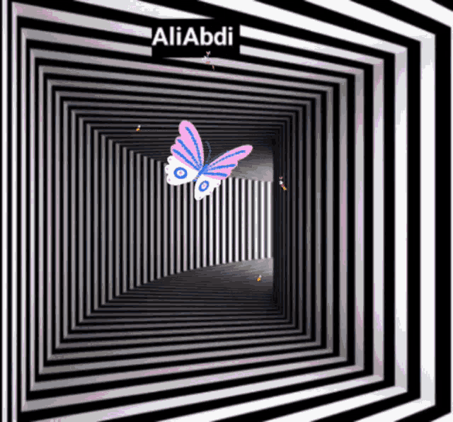 Moths GIF
