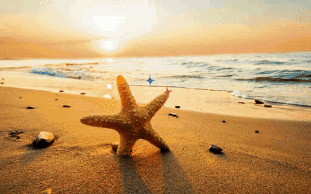 Motivation Inspirational Quotes GIF