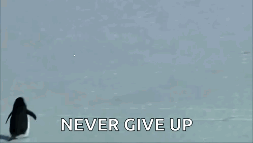 Motivational Penguin Depressed GIF