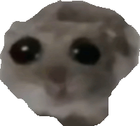 Mouse Meme Sticker