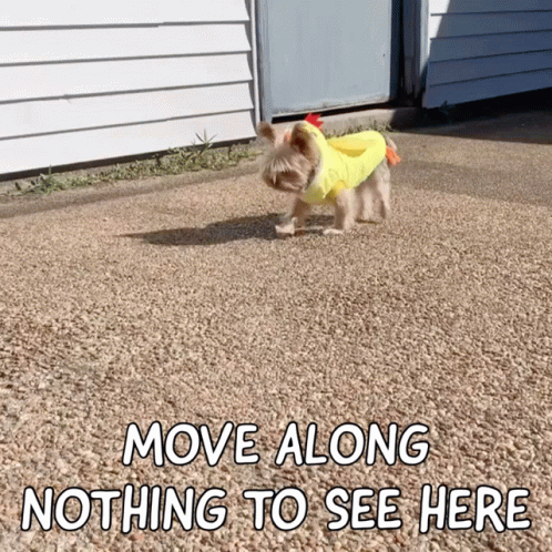 Move Along GIF