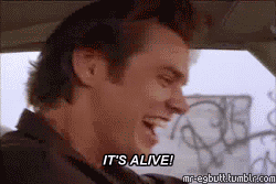 Movies Ace Ventura GIF
