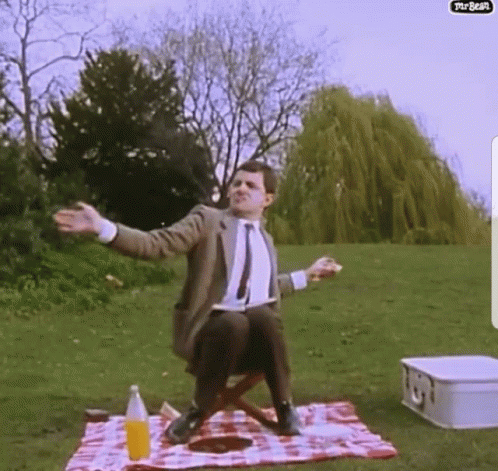 Mr Bean Wasp GIF