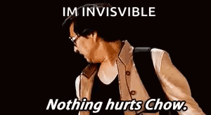 Mr Chow Nothing Hurts Chow GIF