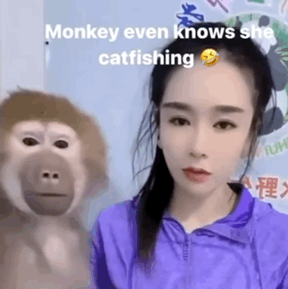 Mrandle Monkey GIF
