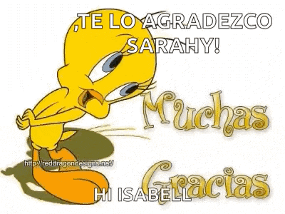 Muchas Gracias Thank You GIF