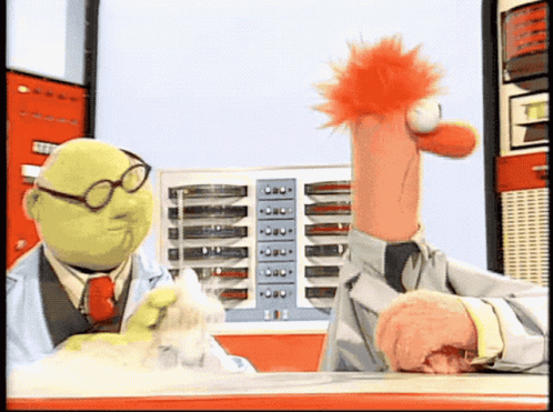 Muppets Muppet Show GIF