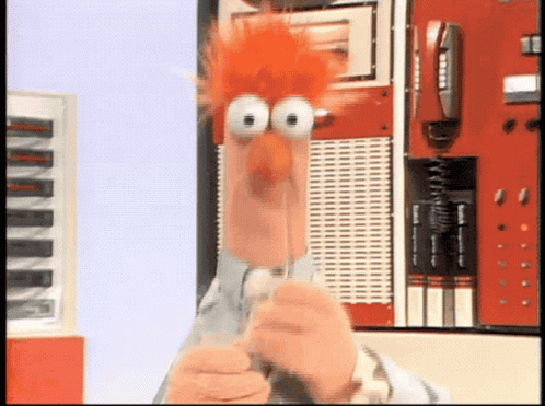 Muppets Muppet Show GIF