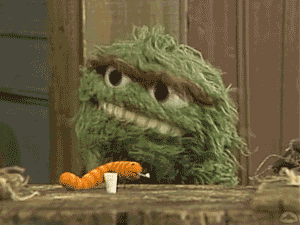 Muppetwiki Muppet Wiki GIF