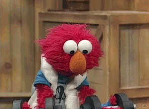 Muppetwiki Muppet Wiki GIF