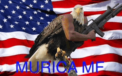 Murica America Meme