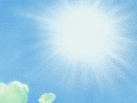 Muten Roshi Dragon Ball GIF