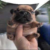 My Honest Reaction Dog Sticker