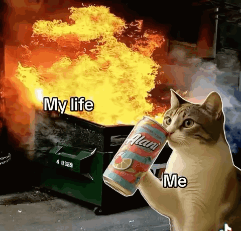 My Life Dumpster Fire - Aurora Alani GIF