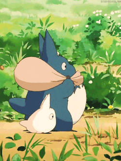 My Neighbour Totoro GIF
