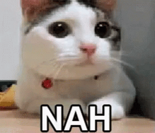 Nah No GIF