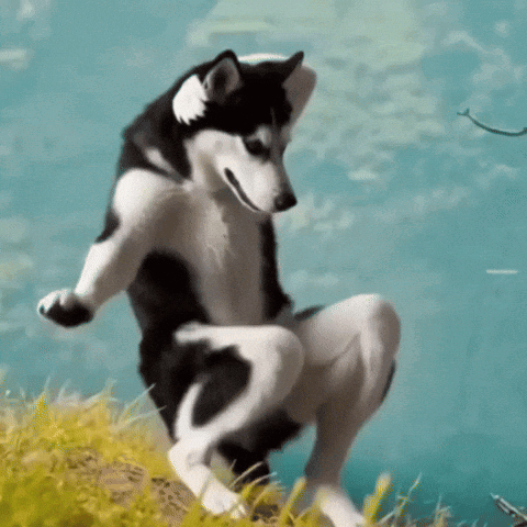 Napumpam I Cao Mala Cikitita GIF