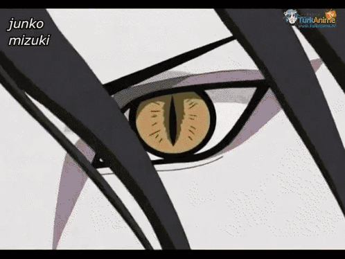 Naruto Nine Tail Fox GIF