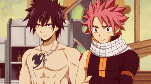 Natsu Bros GIF