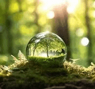 Nature Images Meme