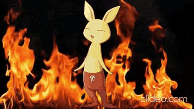 Neemon Digimon GIF