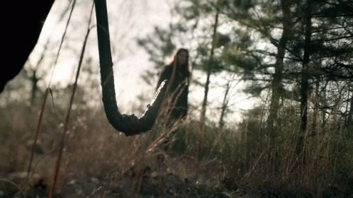 Negan Negan The Walking Dead GIF