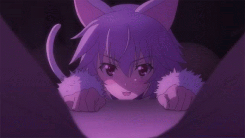 Neko Tatenashi Ready To Pounce GIF