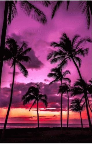 Neon Beach GIF
