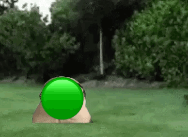 Nepunator Cat GIF